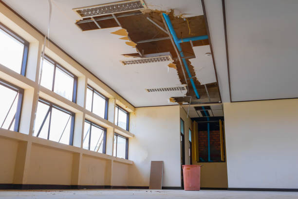 Best 24-hour water damage restoration  in Laurie, MO