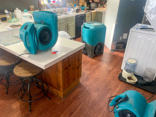 Best Water damage restoration near me  in Laurie, MO