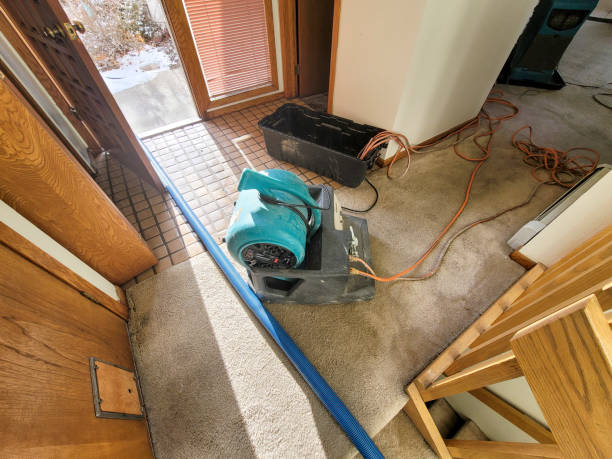 Best Residential water damage restoration  in Laurie, MO