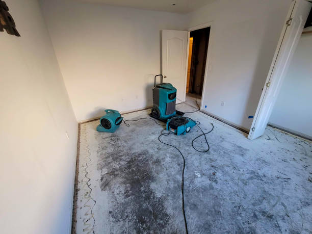 Best Basement water damage restoration  in Laurie, MO