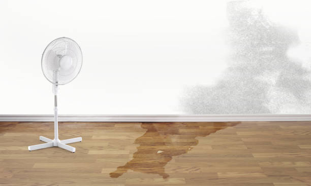 Best Flood damage cleanup  in Laurie, MO
