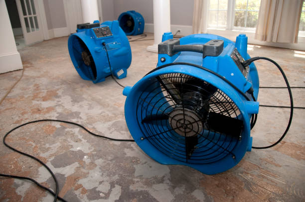  Laurie, MO Water damage restoration Pros