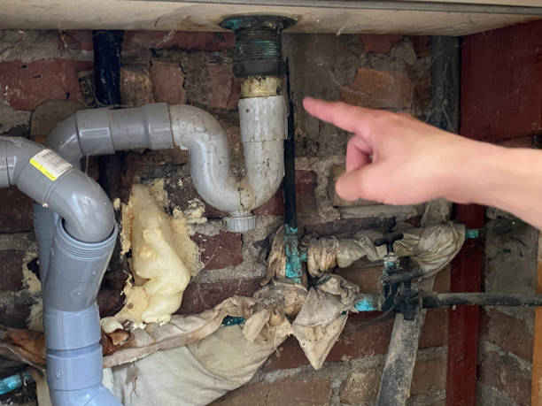 Best Water damage cleanup near me  in Laurie, MO